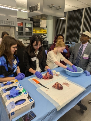 HSC lab crawl3 A Wise.jpeg