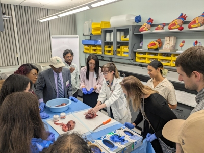 HSC lab crawl2 A Wise.jpeg