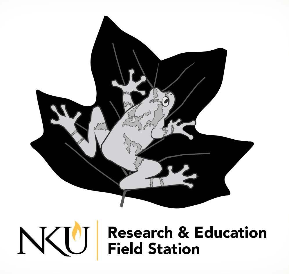 NKU Field Statioj Logo with a frog on a tulip poplar leaf